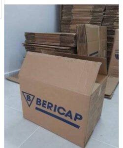 WhatsApp Image 2026-02-24 at 23.14.45